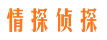 宜川市出轨取证